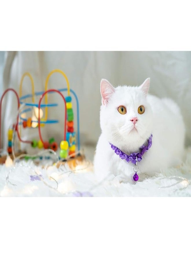 KittuPet طوقان من KittuPet، عبوة من قطعتين، طوق شريطي للقطط والجراء والكلاب، مقاس 10 مم، لون عشوائي - Image 4